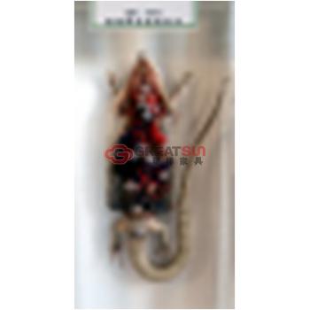 爬行类动物浸制标本