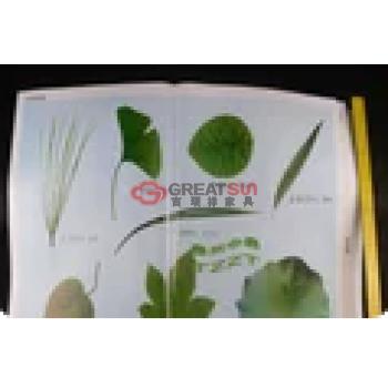 小学科学生命世界教学挂图