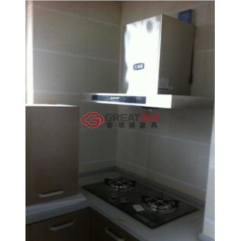 抽油烟机+煤气灶（大）