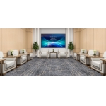 洽谈室2贵宾接待沙发