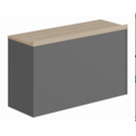 阶梯报告厅主席台