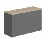 阶梯报告厅主席台