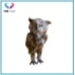 猫头鹰仿真模型