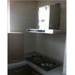 抽油烟机+煤气灶（大）