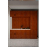 客厅多功能柜（单间）